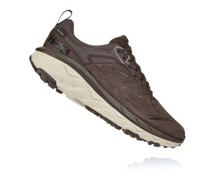 Hoka Australia One One Challenger Low GORE-TEX - Mens Trail Shoes Brown - TCEHO-3289